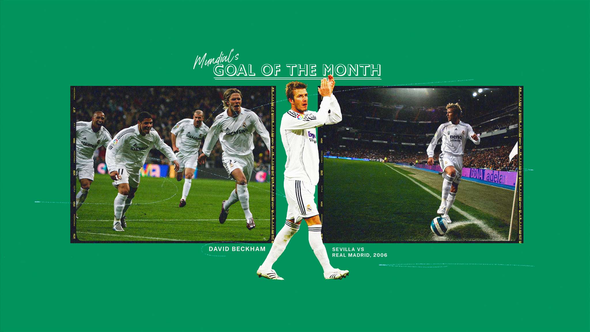 仅点燃了卧 仅点燃了卧