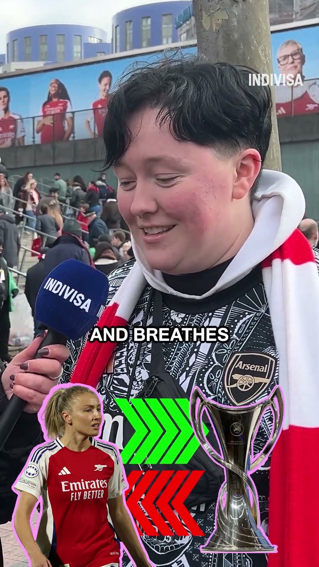 維多維奇納 維多維奇納